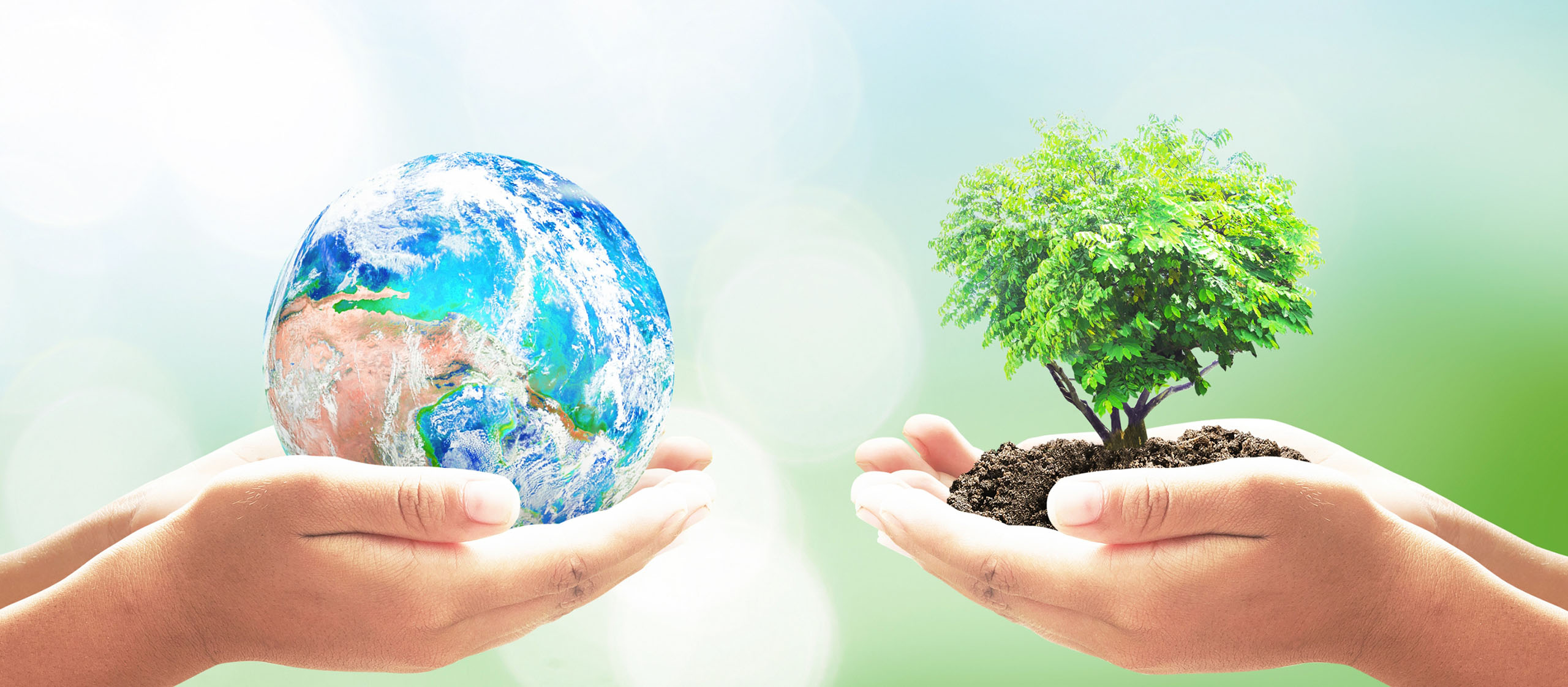 Eficiență și sustenabilitate: Beneficiile produselor Higeea Eco Label
